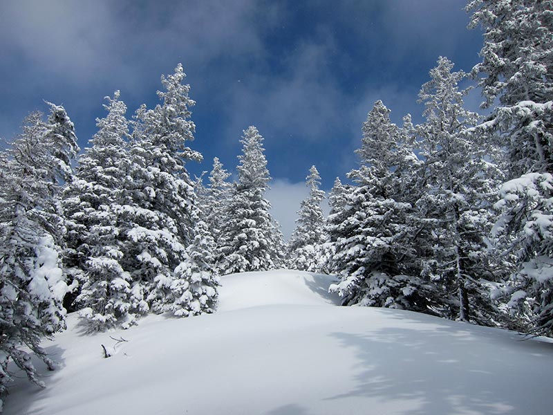 Kuhschneeberg